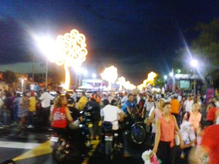 Árboles de luz en la avenida De Bolívar a Chávez